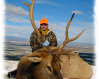 Joe Teal 5x4 2006 #3