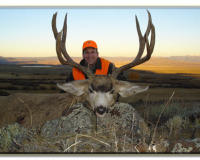 Steve Cumming Muley