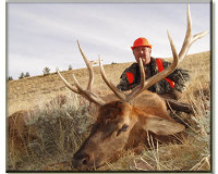 Weyland Williamson 2