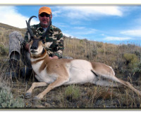 antelope #2 2