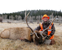 Carolyn W. from Florida