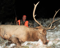 Dan from the Bahama's