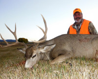 Chris Mule Deer