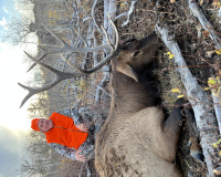 Photo Oct 12 2024, 7 55 12 AM