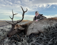 Photo Nov 11 2025, 7 26 34 AM