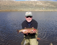 Peak Lake Rainbow Trout