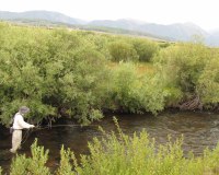 North Fork Angler casting