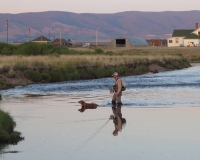 Angler and Dog Crossing River